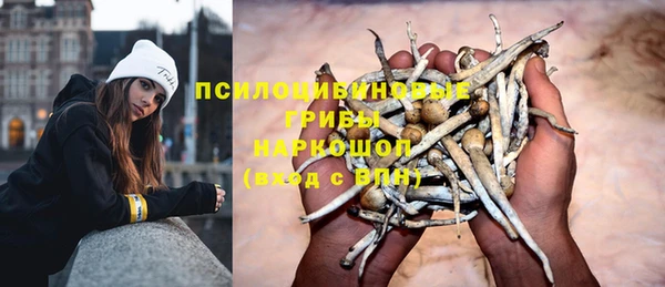 мяу мяу мука Краснослободск